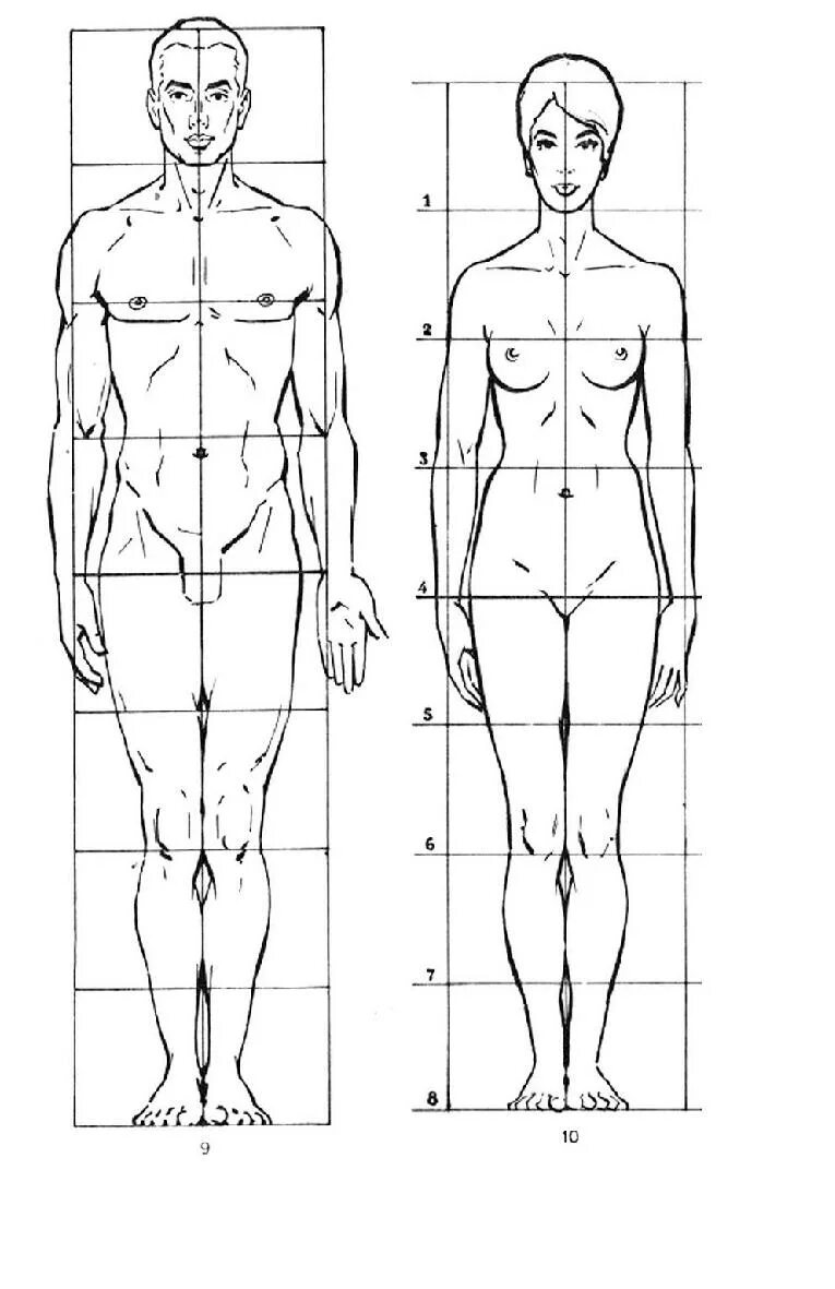 Пропорции человека в полный рост. Пропорции мужской и женской фигуры. Пропорции человеческой фигуры. Мужская и женская фигура для рисования.