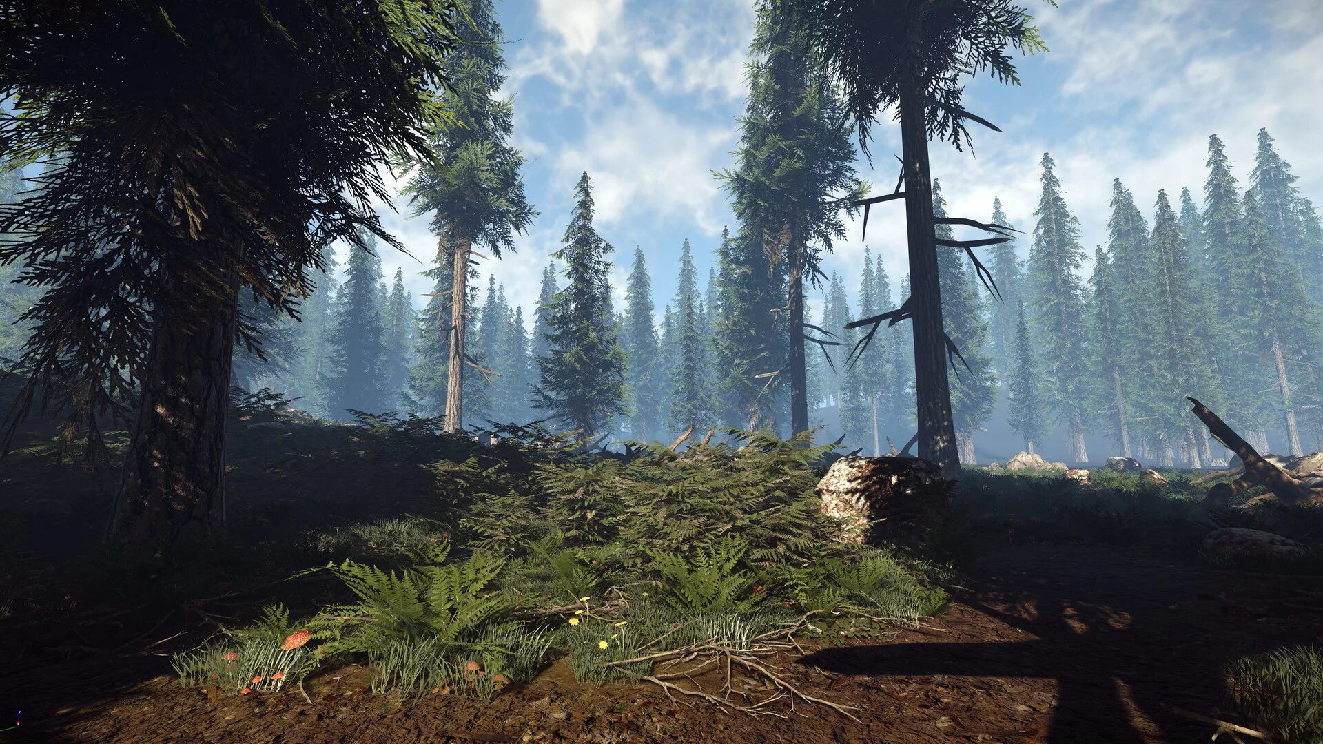 The were going the forest. The Forest лес. Зе Форест 2. Форест скрины. Зе Форест 4.
