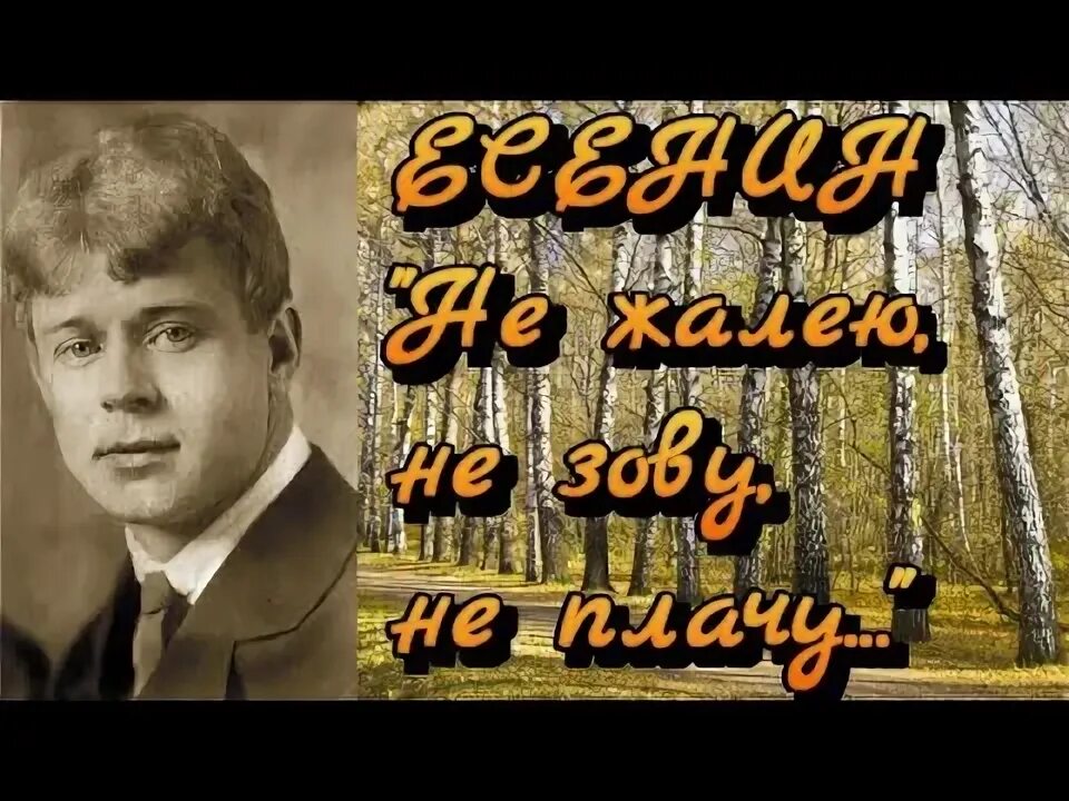 Есенин не жалею не плачу слушать. Не жалею не зову не плачу картинки. Татуировка не жалею не зову не плачу.