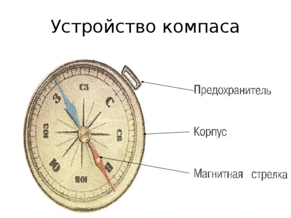 Устройство магнитного компаса. Части компаса как называется. Конструкция магнитного компаса. Строение магнитного компаса. Работа с компасом 2 класс