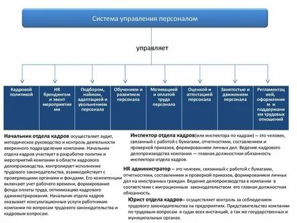 Кадровый отдел в отделе образования