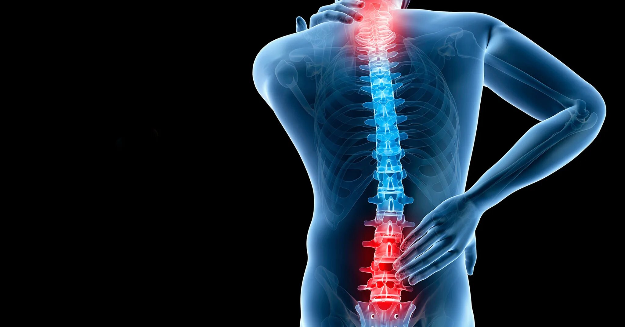 Spine дата выхода