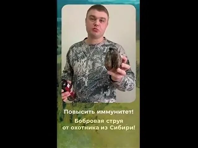 Струя бобра купить у охотников. Бобровая струя купить у охотников.