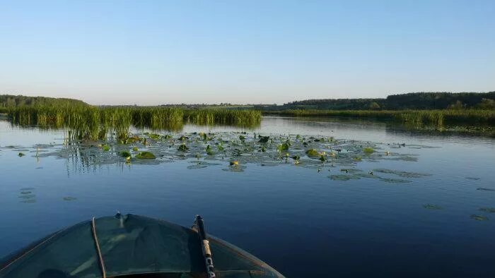 кантатское водохранилище железногорск. копенское водохранилище. копенки водохранилище железногорск. копенки водохранилище железногорск. копенки водохранилище железногорск.