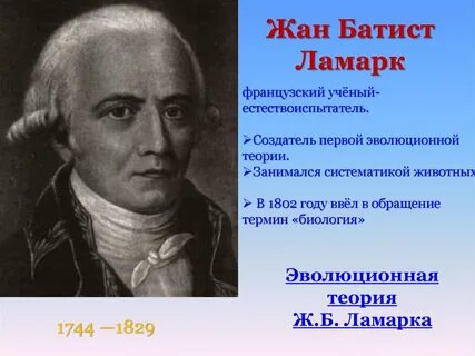 Руз биолог