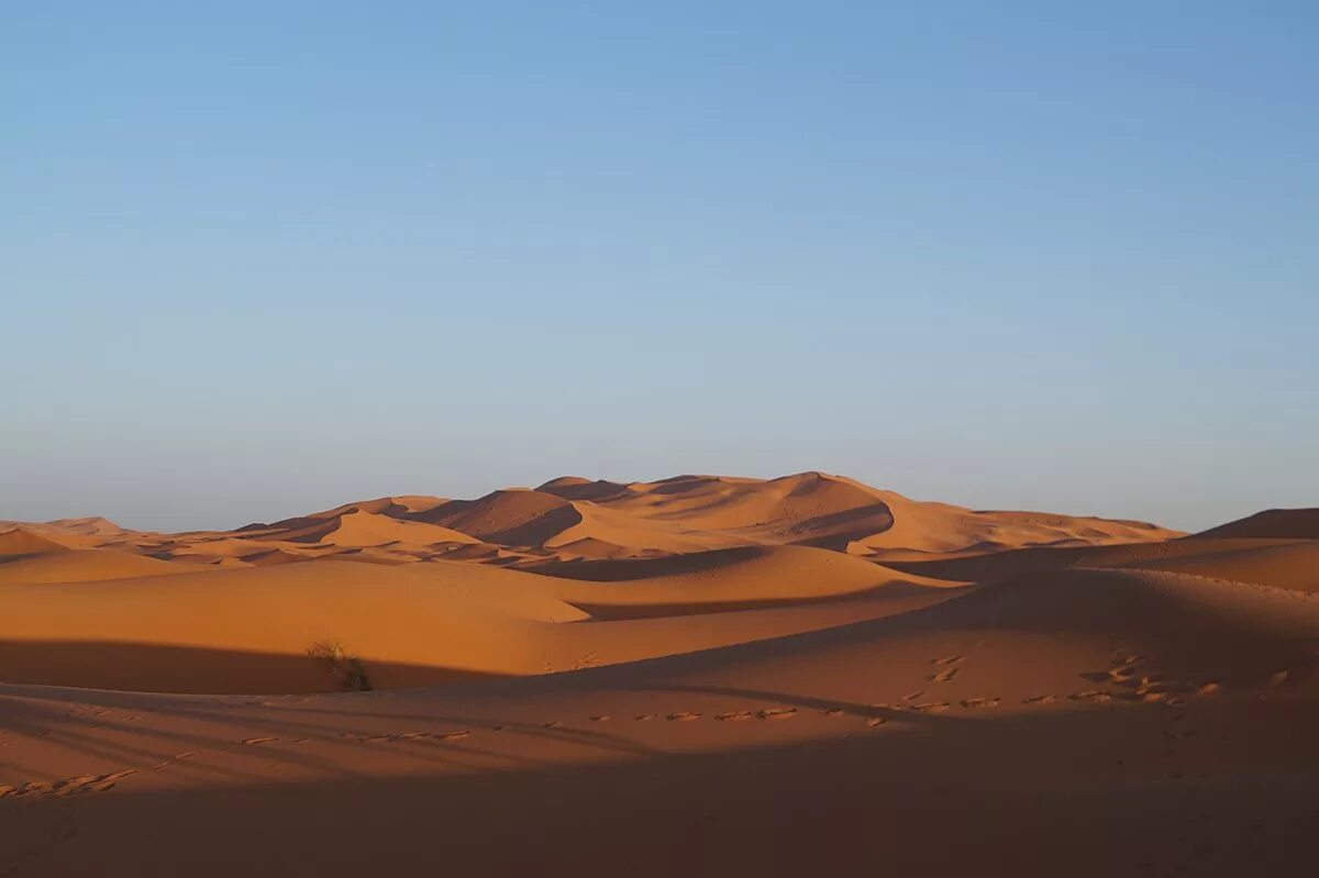 пустыни тропического пояса географическое положение. тропические пустыни географическое положение на карте. полёвки тропические пустыни. тропические пустыни почва. тропические и субтропические полупустыни африки.