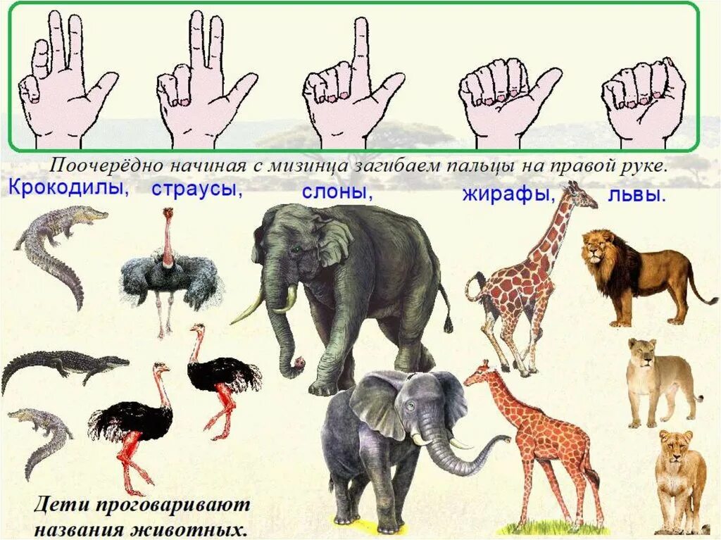 Пальчиковая гимнастика по теме животные жарких. Пальчиковаяя гимнастика животные жарких стан. Пальчиковая гимнастика животные жарких стран. Пальчиковая гимнастика животные жарких стан.