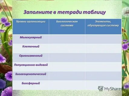 Компоненты образующие систему