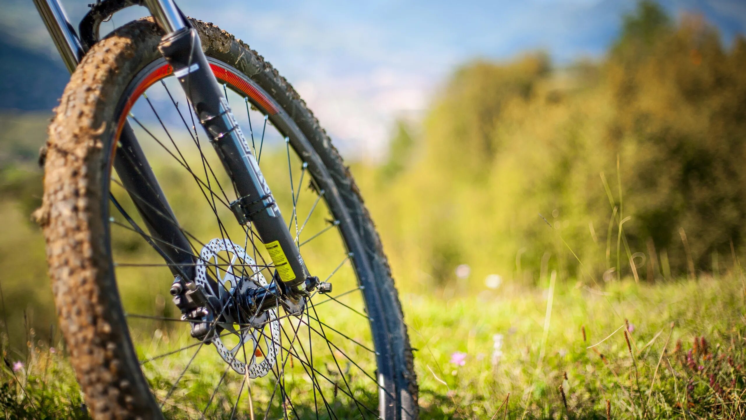 Спорт детская группа велосипеды. Снов байк ети америка. Красивые городские велосипеды. Велосипед фон. Обои велосипед 4к.