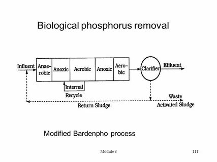 This module