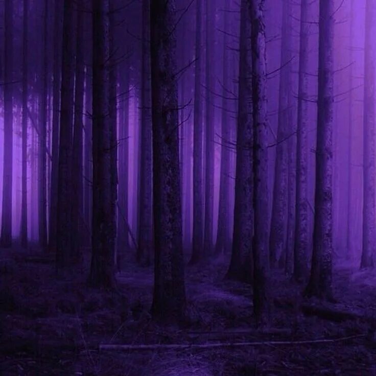 Фиолетовая природа. Фиолетовые обои лес. Aesthetic dark sky wallpapers for computer. Мистические пейзажи. Мистический лес.