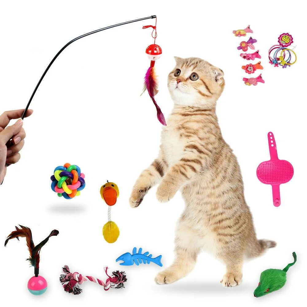 Интерактивный котенок бьянка игрушка. Реклама игрушки кошка. Кошка бьянка интерактивная. Интерактивная кошка бьянка с клубком. Реклама игрушки кошка.