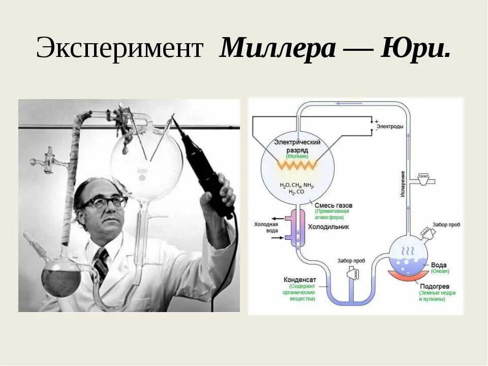 Эксперимент пропускали. Опыт миллера и юри. эксперимент стэнли миллера. эксперимент миллера юри и теория опарина холдейна. опыты миллера и юри (1953).