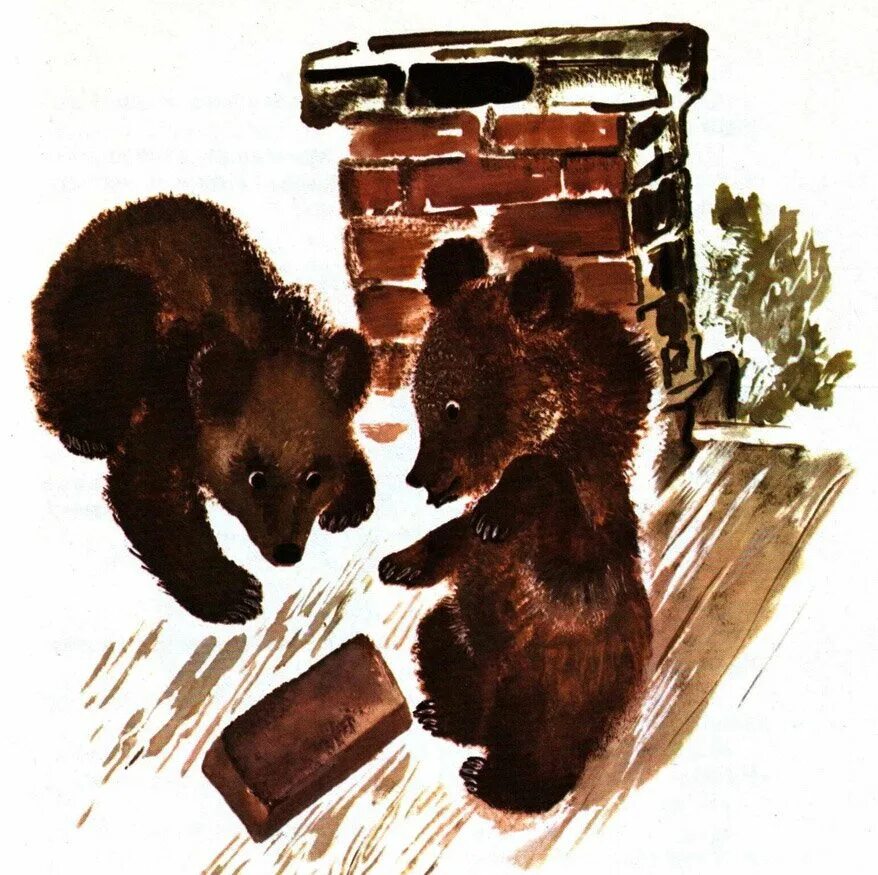 Сказка чарушина рисунок. Чарушин иллюстратор. Чарушин художник анималист. Е чарушин волчишко. Чарушин волк.