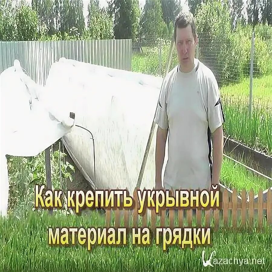Плотный пытаться