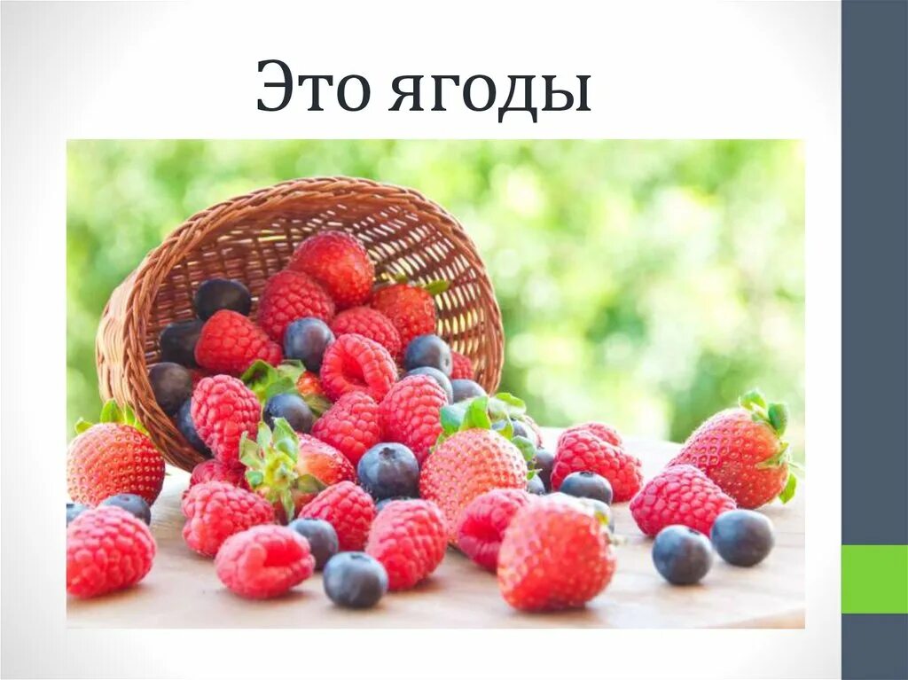 Ягода года года песня. Созревают ягоды. Летом созревают ягоды. Лето какие ягоды созревают. Какие ягоды поспевают летом.