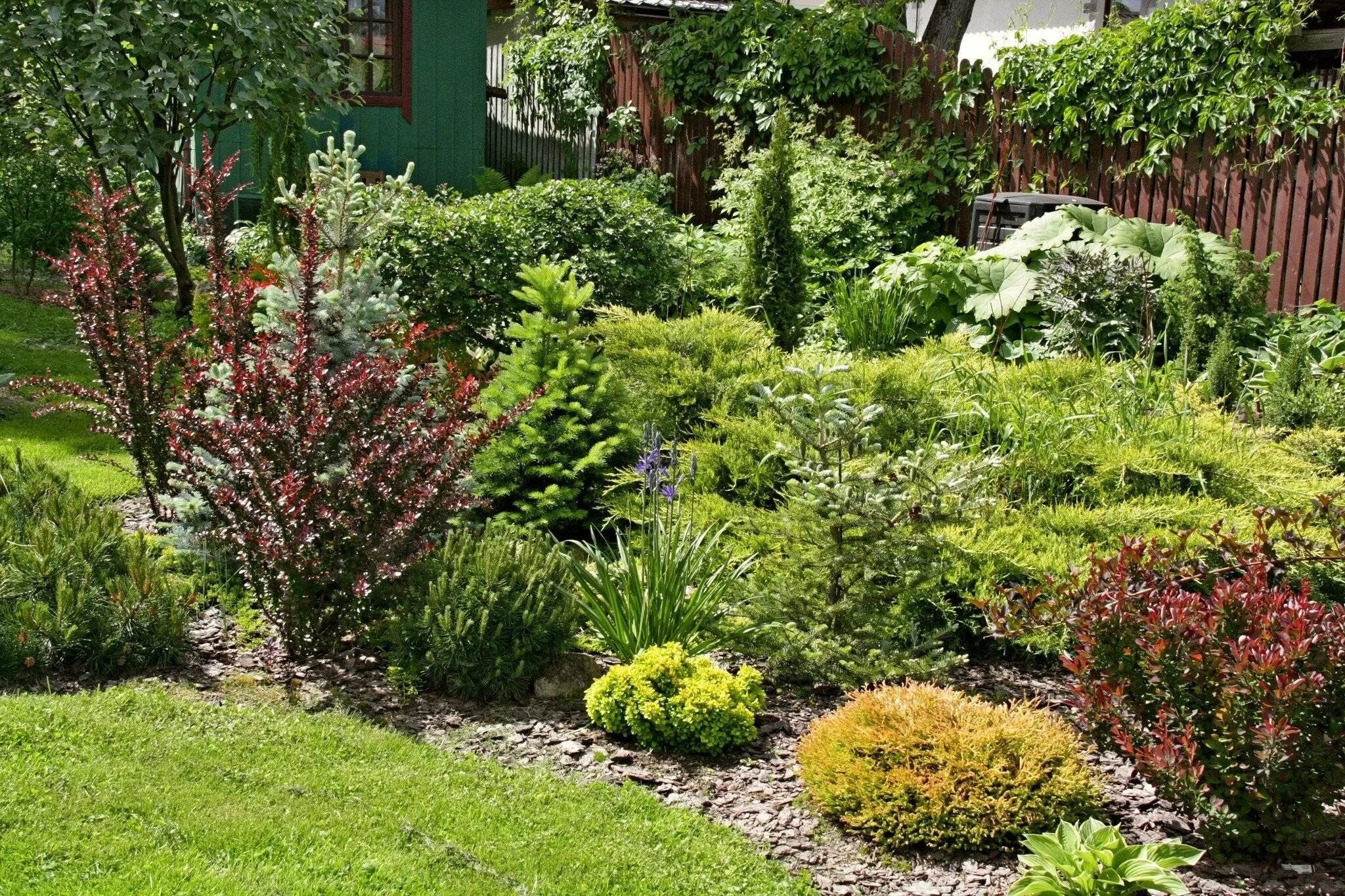 ТОП-5 лучших проектов клумб: лето 2019 Front garden design, Courtyard gardens de