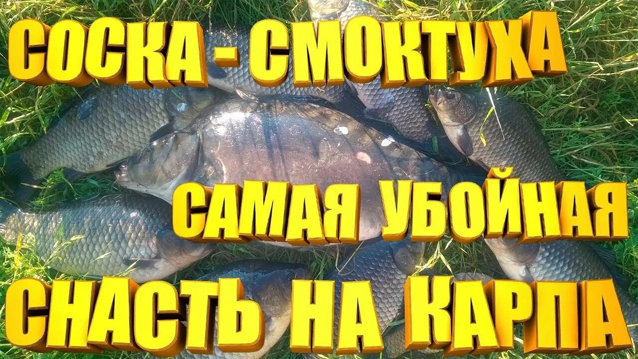 Я дурею с этой снасти. Рыбалка в подмосковье. Я дурею с этой снасти. Карась дуреет от этой снасти. Я дурею с этой снасти.
