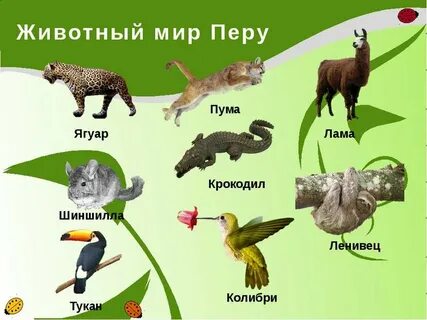 Пере мир