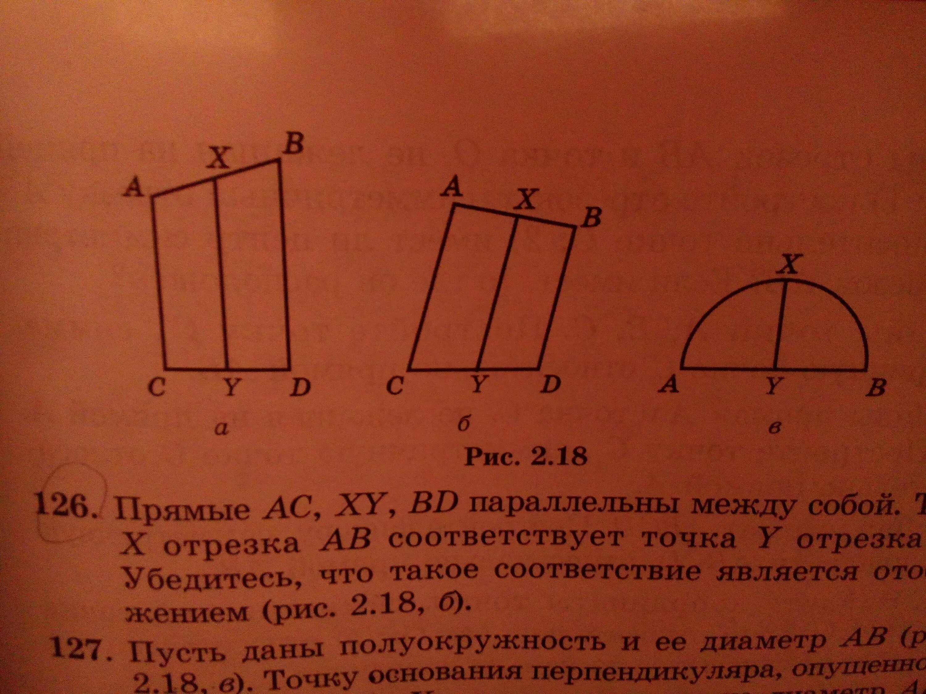 Параллельны между собой. Перпендикулярные прямые bd параллельно a. Прямые ab и CD параллельные какое расположение имеют прямые AC И bd. Равенство перпендикуляров между параллельными прямыми.