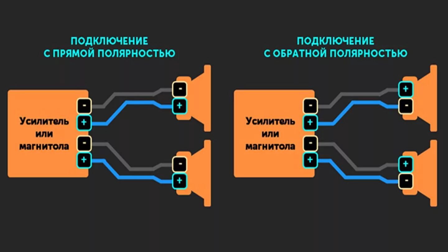 Полярность включения колонок. Полярность кабеля к акустической колонке. Как проверить полярность динамика. Полярность автомобильного динамика.