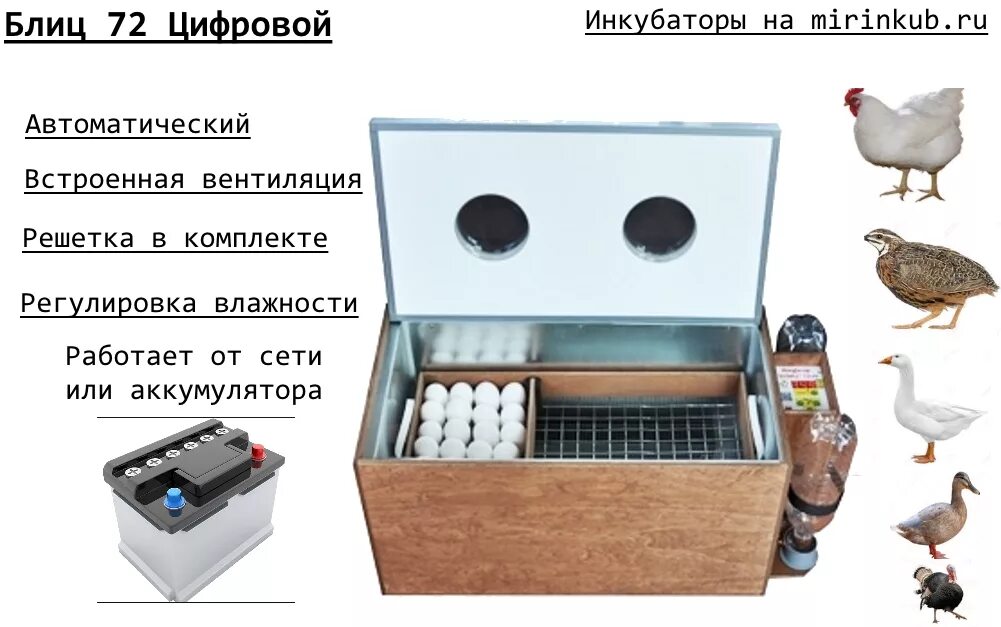 Инкубатор автоматический блиц 72. Инкубатор блиц 72ц10. Инкубатор автоматический цифровой блиц 48. Инкубатор блиц-72 цифровая электроника,12в/220в. Инкубатор для яиц автоматический блиц купить