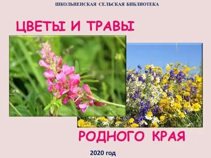 Несколько растений родного края 3 класс