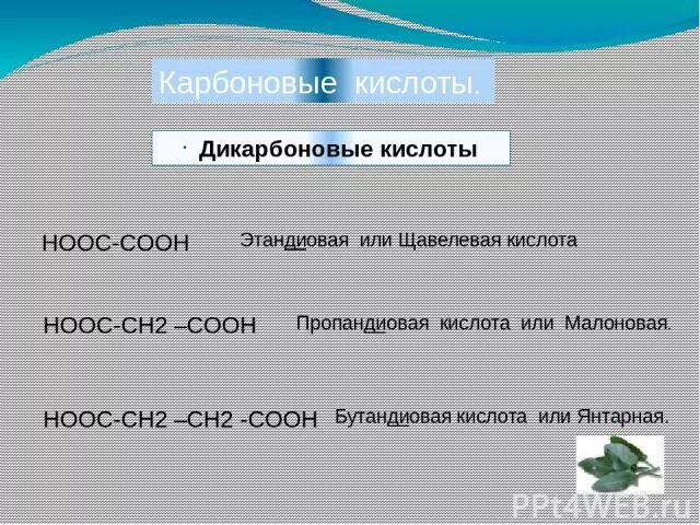 Цепи карбоновые кислоты. Hooc ch2 ch2 Cooh. Hooc ch2 ch2 ch2 ch2 Cooh название. Hooc-ch2-co-ch2-Cooh название. Hooc ch2 ch2 Cooh классификация.