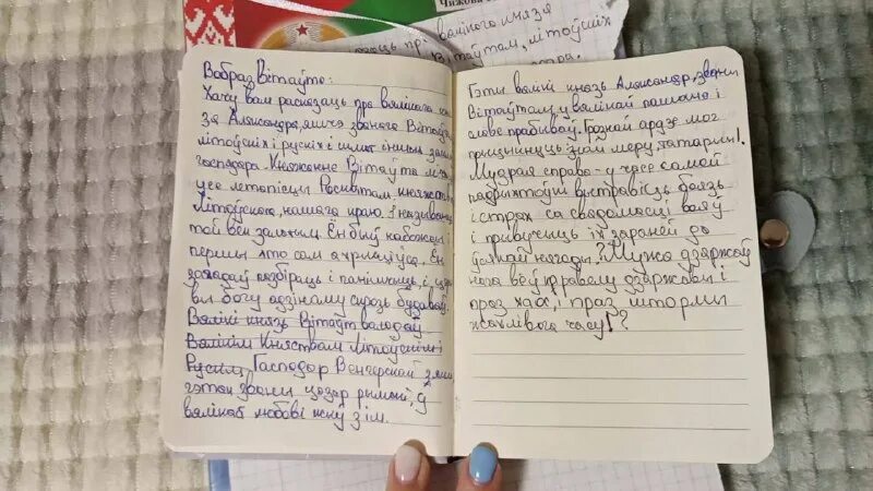 лит сочинения. письмо крылову. краткий пересказ дубровский. цитаты в тетради. лит сочинения.
