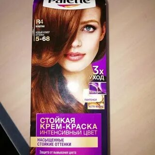 Каштан 5
