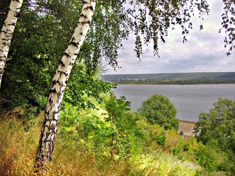 Природного родного края. Республика Чувашия природа. Криуши Козловский район вид на Волгу. Родной край Чувашия. Природа Чувашского края.