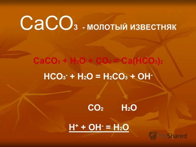 Са нсо3