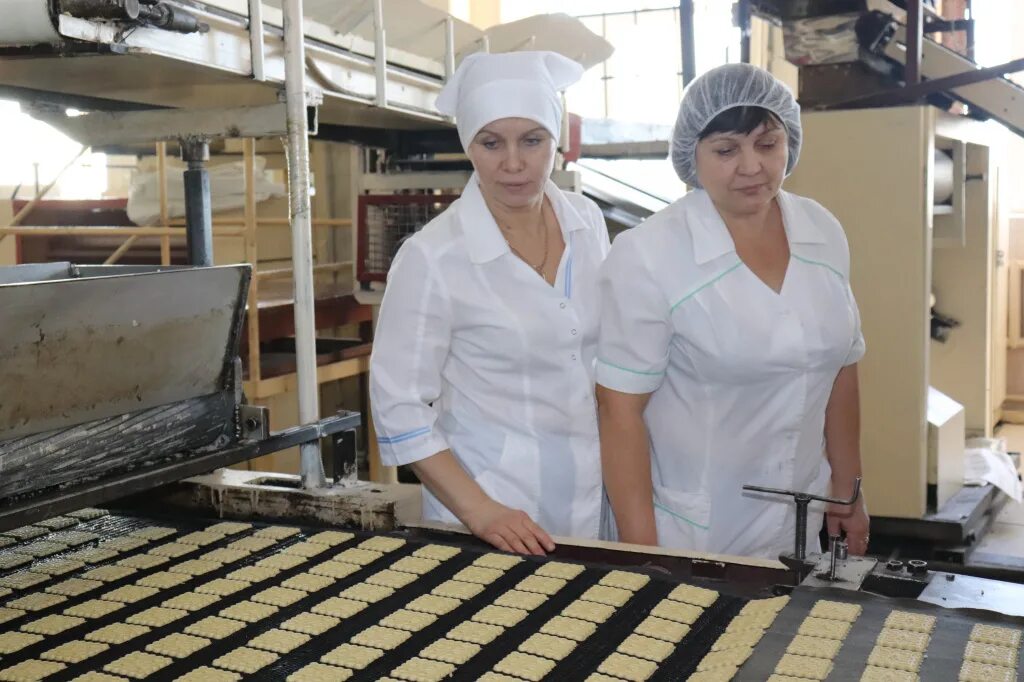 центр занятости горно-алтайск официальный сайт. работа в республике алтай свежие вакансии. минздрав горного алтая. министр мчс по республике алтай. центр занятости республика алтай.