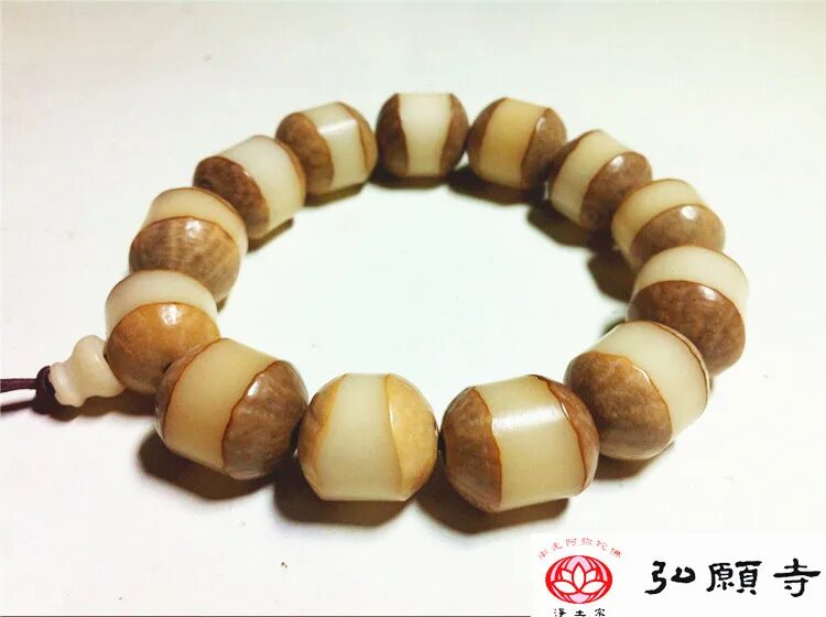 корень бус. корень бус. корень бус. многолистовка пиона. лже женьшень.