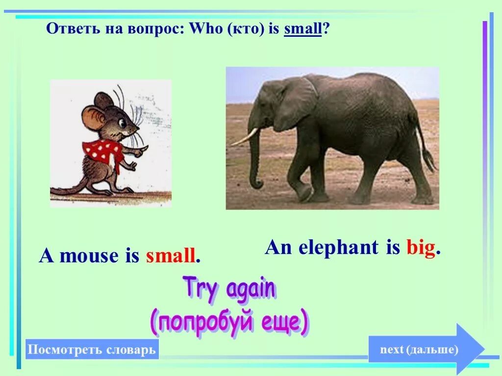 Elephant перевод с английского. Big Elephant small Mouse. The Elephant is big. An Elephant is a big animal 3 класс. An Elephant and a Mouse картинка.