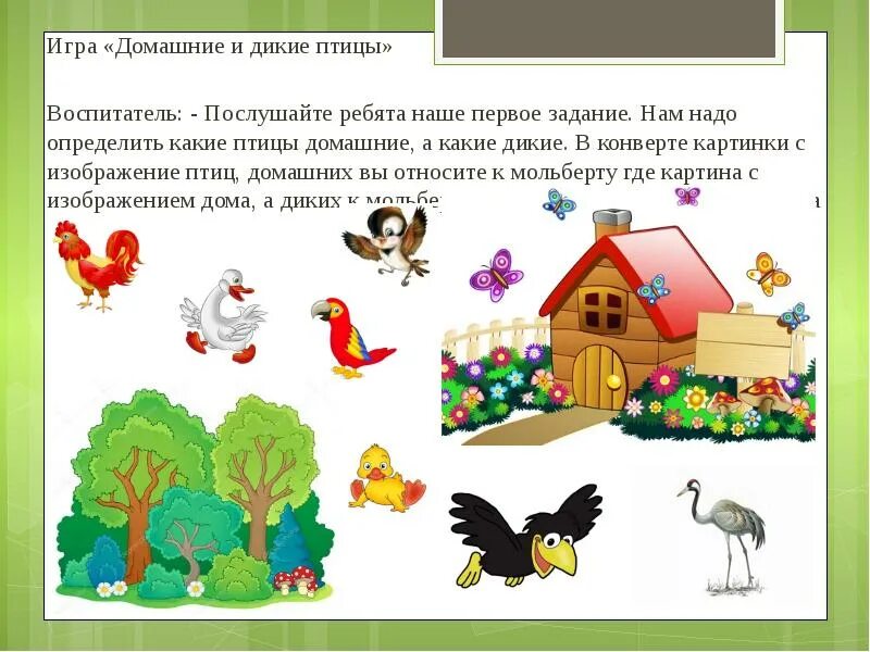 Экологические игры птицы. Дикие и домашние птицы игра. птицы домашние и дикие презентация. квест игра по экологии. д игра домашние и дикие птицы.