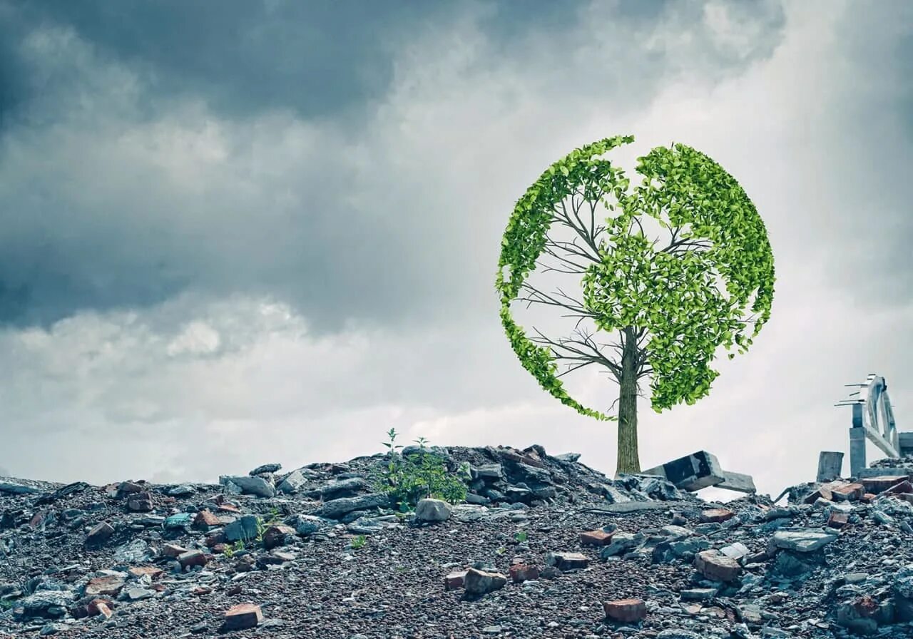 Destroy environment