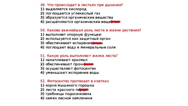 Что происходит в листьях при дыхании