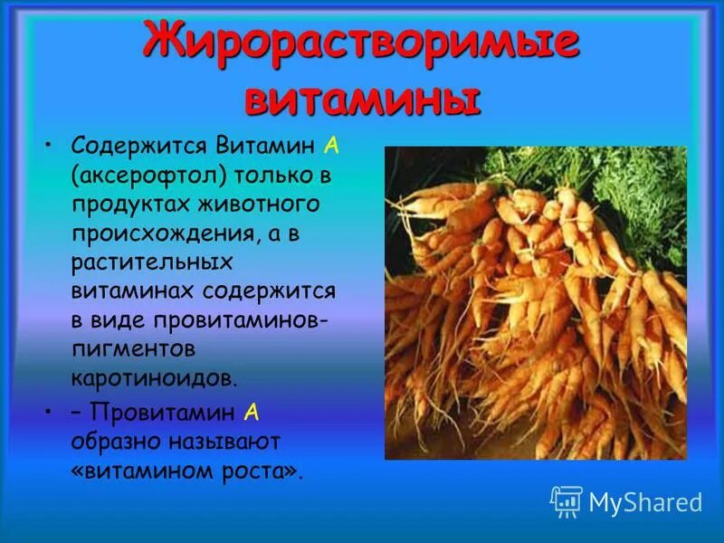 Витамины в продуктах животного происхождения. Витамин b1 содержится в продуктах. Витамин в1 продукты животного происхождения. Витамины в растительной пище. Сливочное масло витамины.