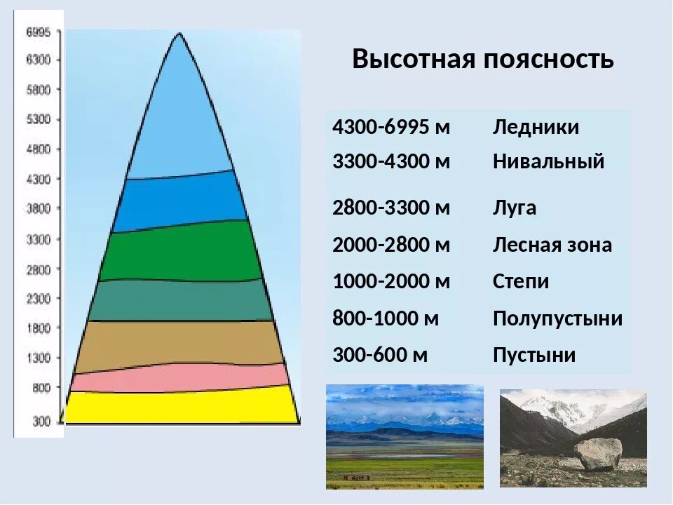 Высотная поясность Тянь Шаня. Высотная поясность Тянь Шаня схема. Высотная поясность Тянь Шань. Высотная поясность Тянь Шаня в Казахстане. Сколько высотных поясов в горах