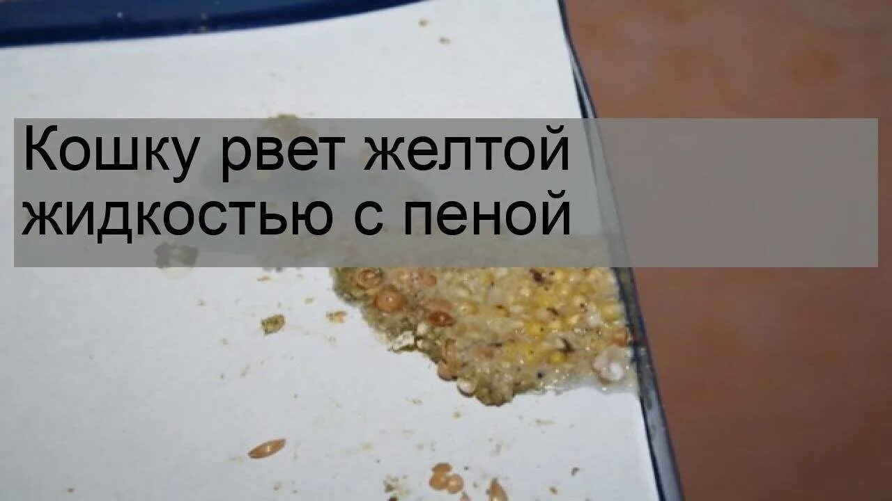 Желтая рвота у человека