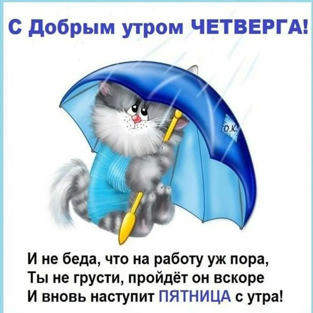 Доброе утро четверга картинки. Доброе утро четверга. Открытки с добрым утром четверга. Открытки с добрым утром четверга прикольные. Сдобрым утром сетверга.