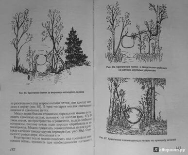 Охота на волка читать