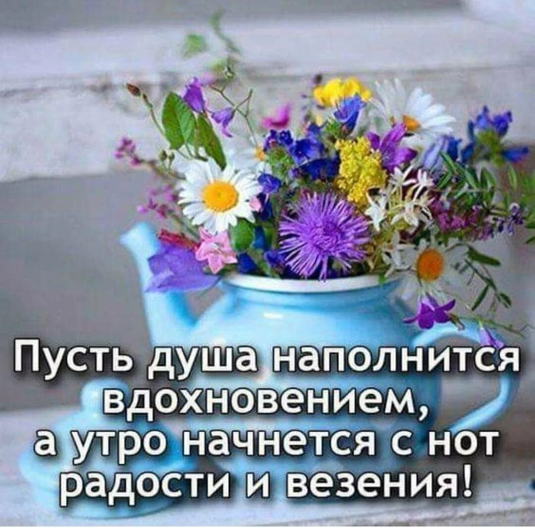 Благословенного утра и прекрасного дня. Утренние цветы с пожеланиями. Душевные пожелания с утра. Доброе утро с цветами и пожеланиями. Доброе утро позитивные пожелания.