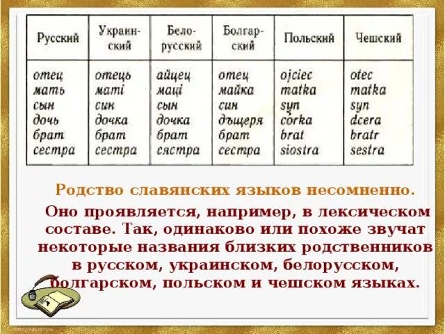 Какое польское слово. Родство славянских языков. Различия славянских языков. Одинаковые слова в славянских языках. Славянские языки похожи.