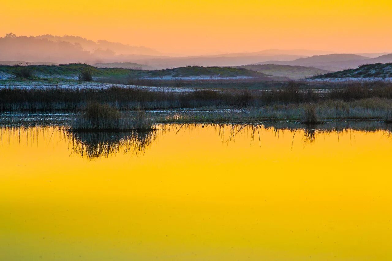 The remote Australian lake that glows bright YELLOW thanks to a very unusual nat