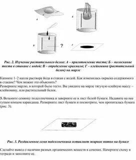 Опыт обнаружение
