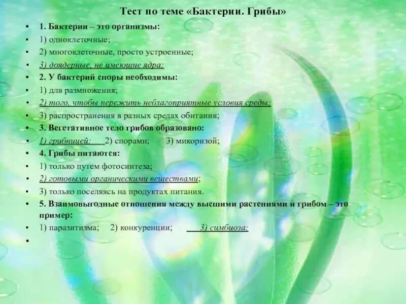 Бактерии тесты 6 класса. Контрольная работа по теме бактерии. тест по бактериям. тест по теме бактерии. тест на тему водоросли.