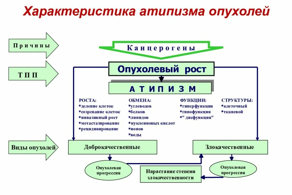 Атипизм роста опухоли. Атипизм роста опухоли. Атипизм роста опухоли. Тканевый атипизм доброкачественной опухоли. Атипизм опухолевых клеток.
