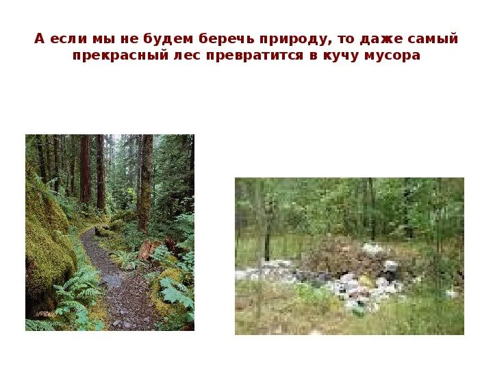 Сохраним природу вместе. Плакат беречь природу. Что будет если мы будем беречь природу. Экология берегите природу. Что если не беречь природу.
